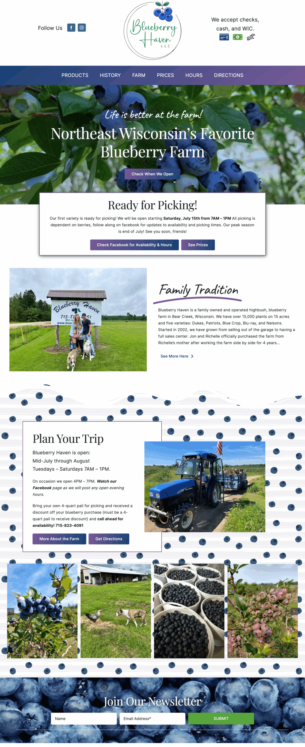 blueberry haven website