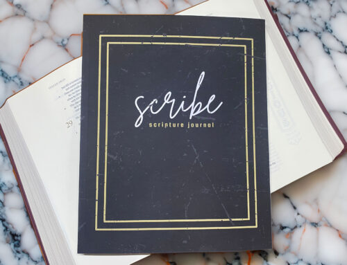 SCRIBE : New Journal Release